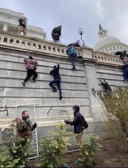 what up big pimps tweet media