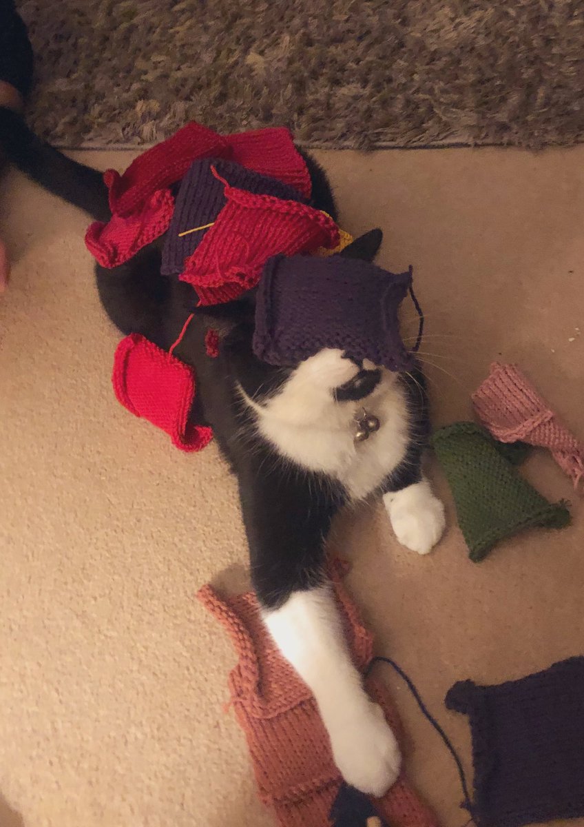 SerenKitch11's tweet photo. Just to lighten Twitter up this evening... Albus likes my knitting squares ready for the new blanket 🤷♀️ that, or he just couldn’t bear to watch the news 🙃 #knit #CatsOfTwitter #patchworkcat #tuxedocat #albusdumbledore https://t.co/wln0pGsd9o