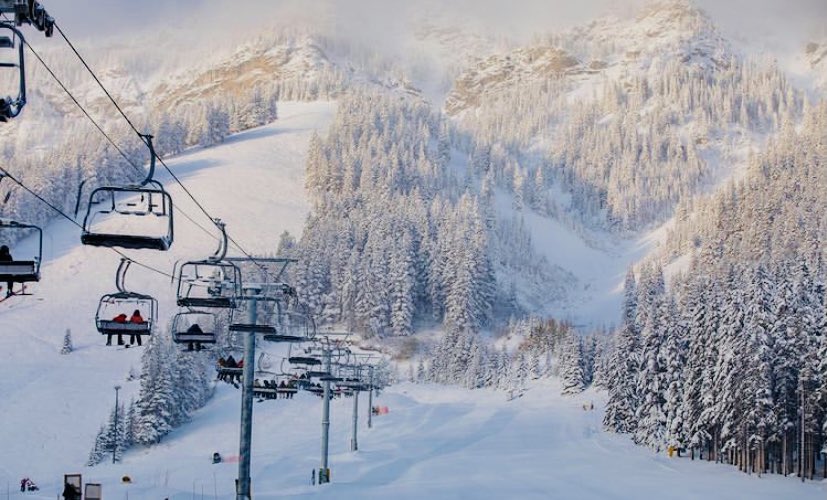 Mookie Wilson tweet media