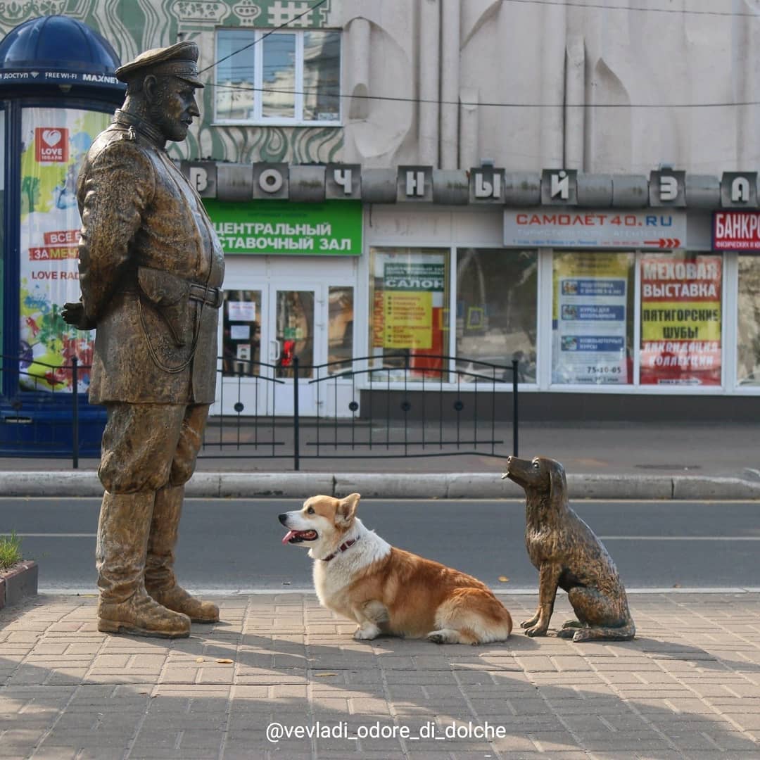 CorgiParents's tweet image. Hello, good sir. Am I a good corgo? 😌😉

(Photo Vevladi Odore di Dolche)