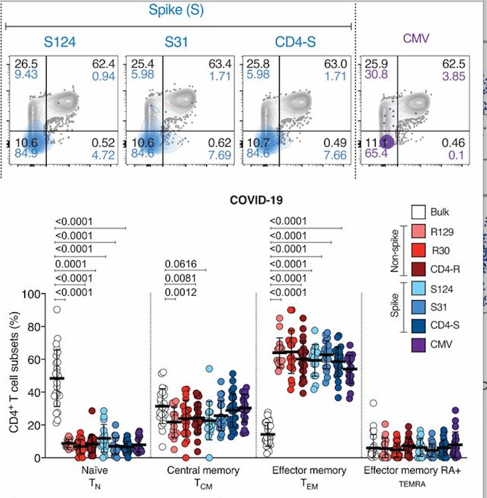 mmw_lmw's tweet photo. #SARSCoV2 #T_Cell_Epitopes | Selective and cross-reactive epitopes in unexposed humans | Daniela Weiskopf @ljiresearch @ScienceMagazine https://t.co/bvJZWHzeko | #2020_ReCapAugust https://t.co/nMSdCH8Rz0
