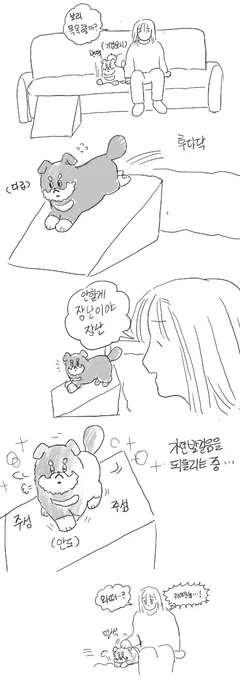 강아지도 장난이란 말을 이해하는걸카,, 