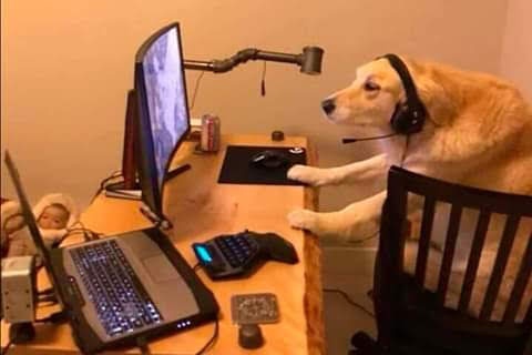 daebakrolplay's tweet photo. Yo aquí esperando a que alguien abra hilo sobre el golpe de Estado, Kim Kardashian y Kanye, Jeffree Star, Trump, Biden... en lugar de seguir tratando de recuperar archivos perdidos de trabajos https://t.co/pYuLD9LRqF