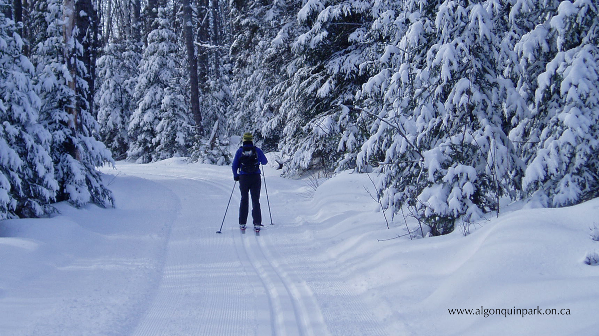 algonquin park ski trails
