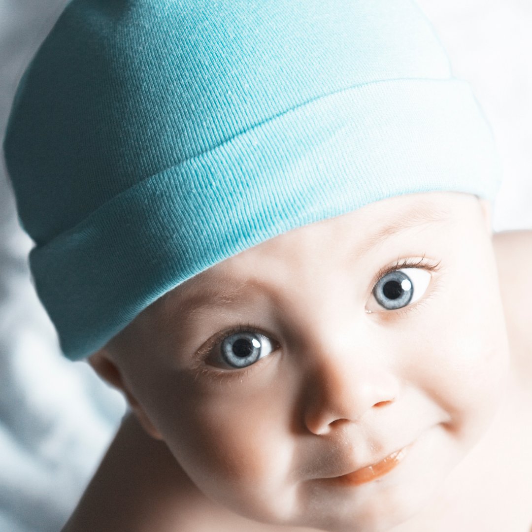 Dakota Surrogacy tweet media