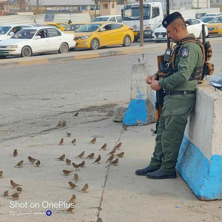 طبعاً الكل يعرف العصافير صعبة تتقرب من البشر لكن هذا الشرطي اثبت لنا غير ذالك فهنالك مجوعة كبيرة من العصافير تأكل من يديه❤️ وجود رجال القوات الامنية تعني الامان الاطمئنان للجميع لا البشر فقط بل حتى الحيوانات تشعر بأمان ربي يحفظهم ويشفي الجرحى ويرحم الشهداء الابرار ويسكنهم الجنه❤