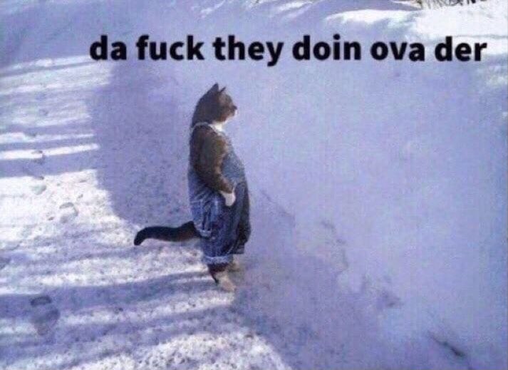Other countries waking up and seeing Area 51 memes resurface, US Capital being raided, and #civilwar2021 trending