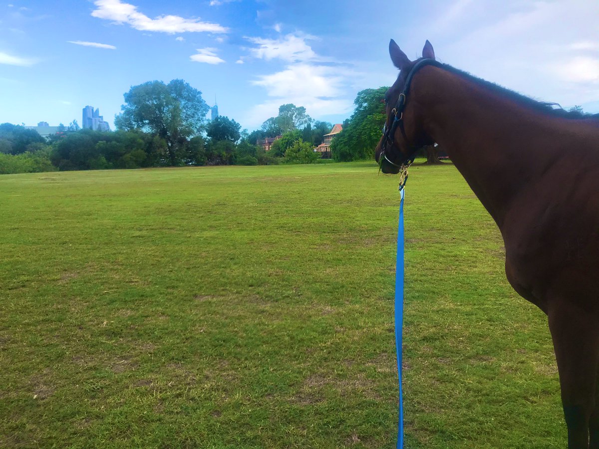 Levi Kavanagh tweet media