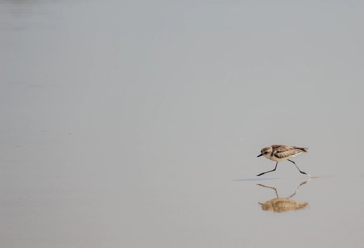 steppin' on the beach (dlroo do doo!)