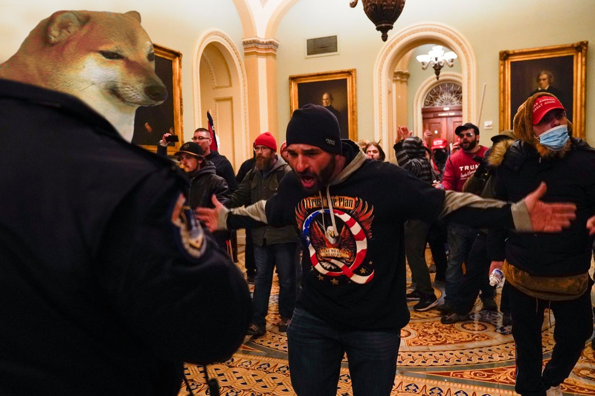 insoniascarvao's tweet photo. BLM Protests                            Capitol Protests https://t.co/WtHCVU7fLB
