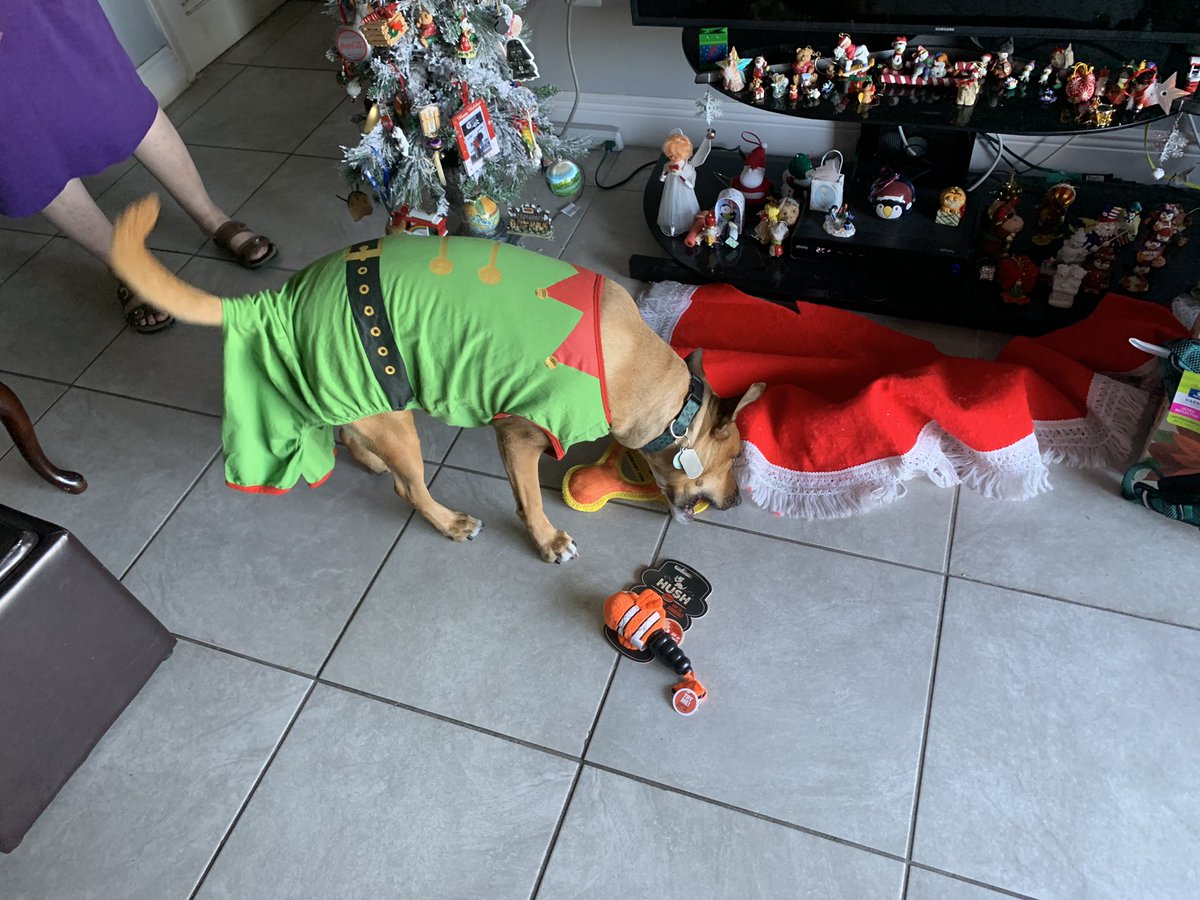 Scout Diesel tweet media