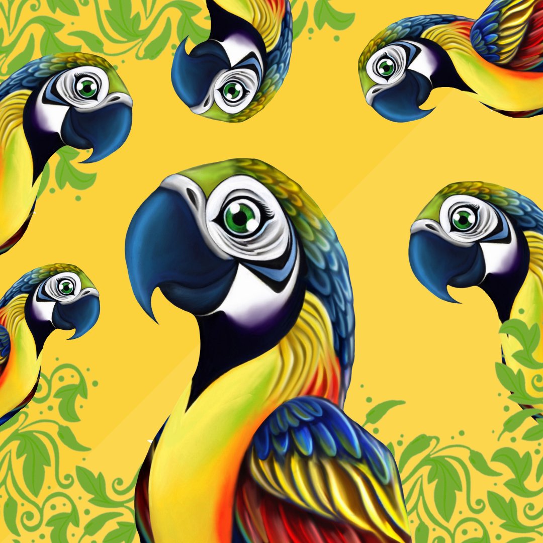 In honour of National Bird Day, we're highlighting our beloved Aji mascot: a beautiful &amp; sassy parrot named Hobbs!
Typically seen in South America, we found Hobbs through previous work with the fantastic non-profit organization <a href="/GreyhavenBirds/">Greyhaven Birds</a>. Follow their pages to learn more!