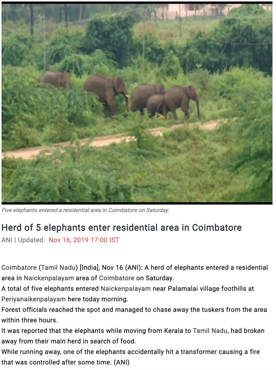One more such incident near Coimbatore .. The article also states clearly that it was Forest Officials who chased the tuskers from that area. https://www.aninews.in/news/national/general-news/herd-of-5-elephants-enter-residential-area-in-coimbatore20191116165956/So, this chasing of elephants narrative by the  #HyenaActivists is a big BS to cheat people who are ignorant.