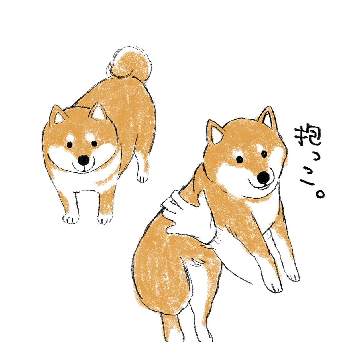 柴犬のイラスト Twitter Search