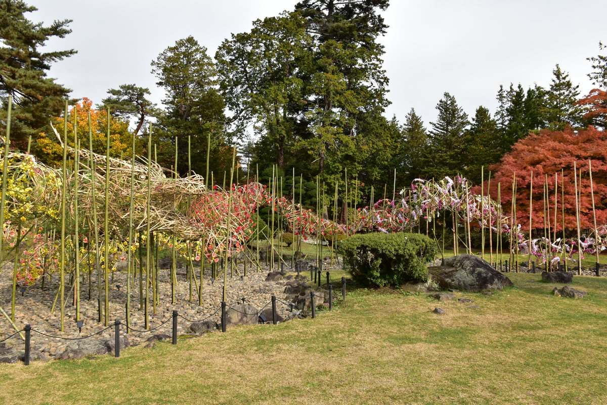 Hirosaki_City's tweet photo. 昨年の弘前城菊と紅葉まつり
「昇天龍」…、動画で公開！

動画はこちら↓
〇【弘前城菊と紅葉まつり】～その先を、照らす。 
https://t.co/09VI2Y5Ili

〇【弘前城菊と紅葉まつり】メイキング ～その先を、照らす。
https://t.co/udDkozGiRT https://t.co/EaxzoeFIPy
