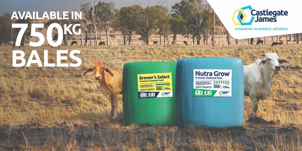 #QLD #cattle producers - whether you feedlot or your stock are over grazed on nutrient depleted pasture - CJA has the solution for you - In convenient 750KG Bales
#New #NutraGrow and #BrewersSelect High protein, highly digestible sources of energy
Call your local CJA rep today