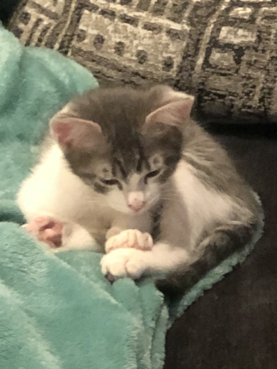 heal your eyes with a picture of my pussy