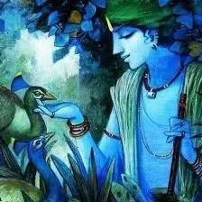 When the dance ended, the King of peacocks expressed his gratitude to Krishna. He requested Krishna to accept his plummage (feathers) and wear them on his crown as decoration. Since then, Krishna started wearing mor-pankh in his crown.  @vedvyazz  @SriRamya21  @satya_AmitSingh