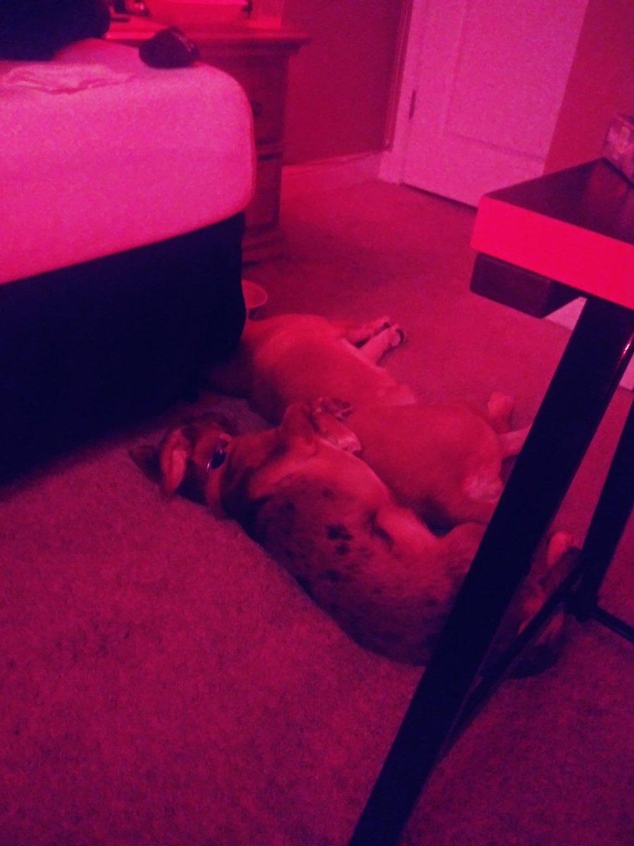 Daddys girl ❤❤❤❤❤