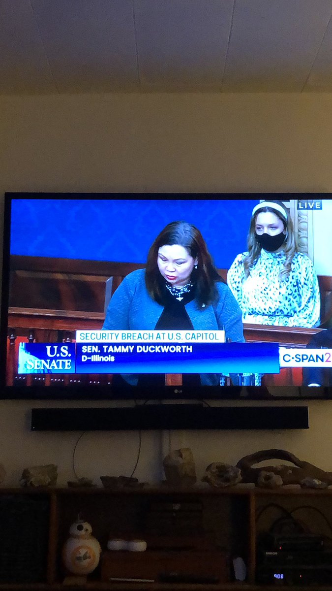 KatDeal2's tweet image. Ok, apparently me taking a photo and posting it on Twitter has cause the loss of two 🤦‍♀️