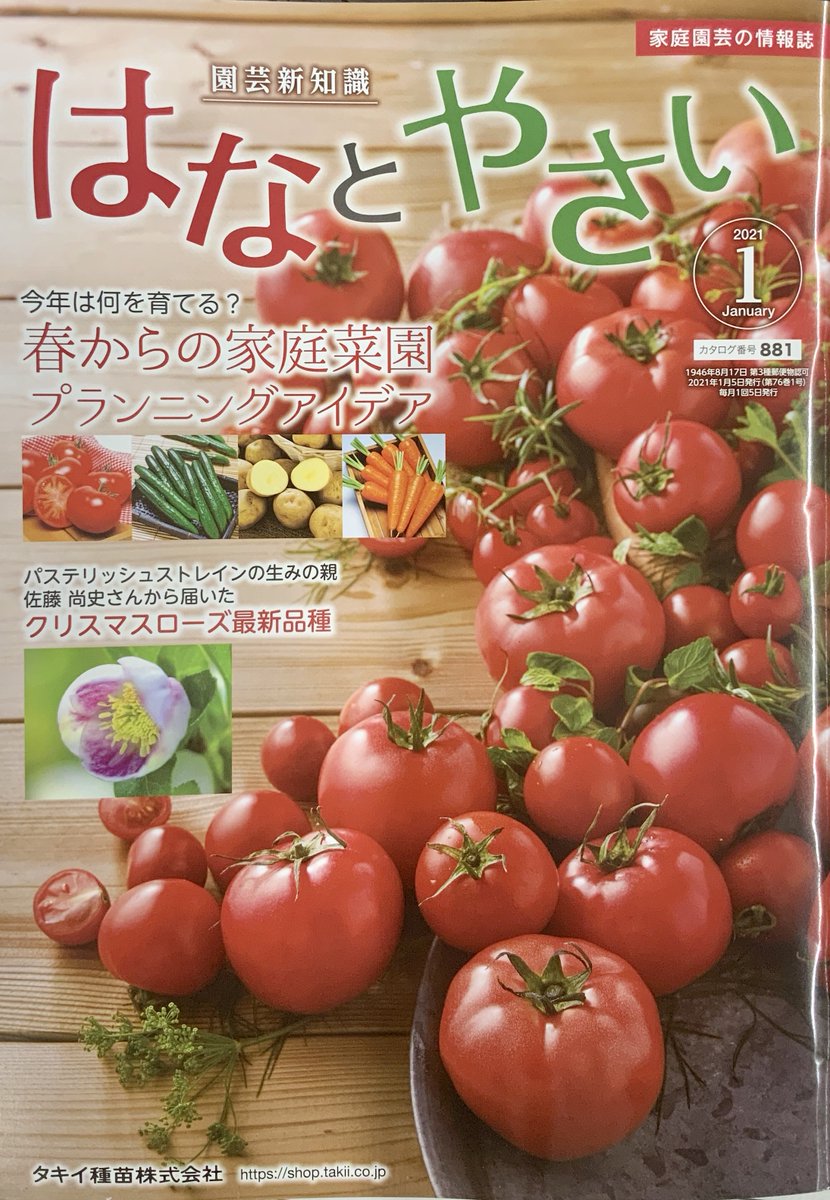 タネのタキイ通販 公式 Shoptakii Twitter タネのタキイ通販 公式 Shoptakii Twitter
