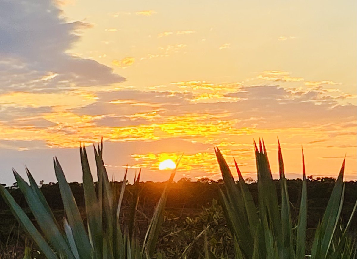 mauranolan's tweet photo. #sunset #junodunes https://t.co/IJMiz1AJSi