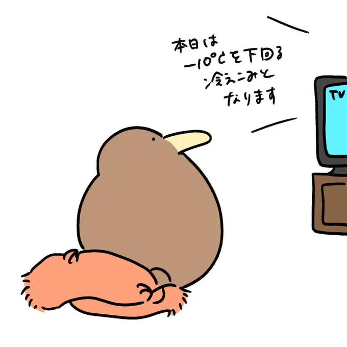 大寒波に挑むキーウィ 