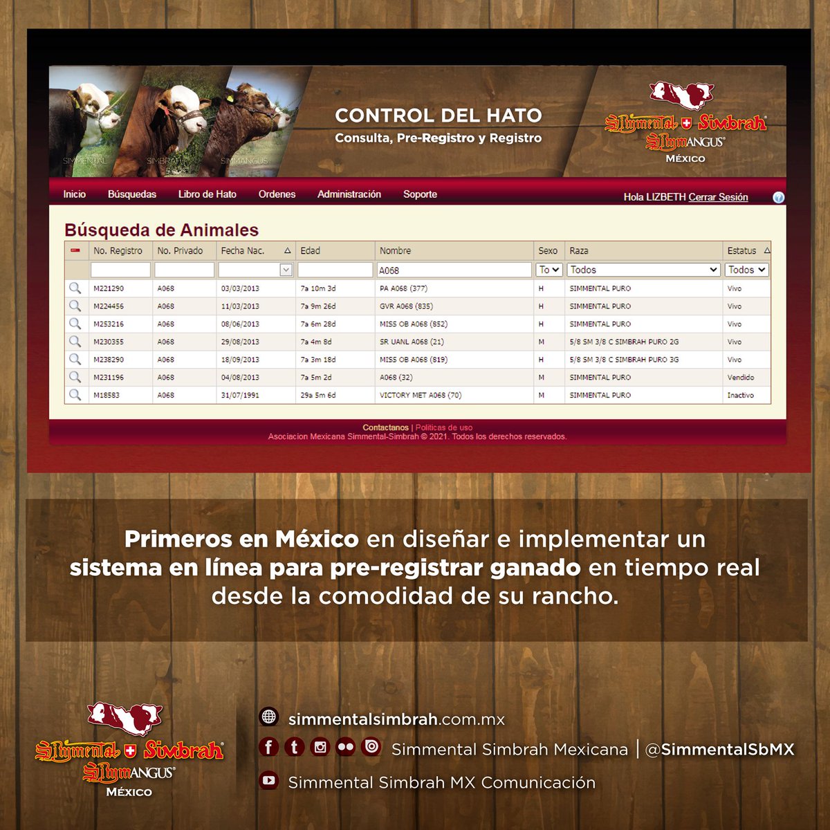 SimmentalSbMX's tweet photo. Primeros en México en diseñar e implementar un
sistema en línea para pre-registrar ganado en tiempo real desde la comodidad de su rancho.
.
#Simmental #Simbrah #Simmangus #SimmentalSimbrah #SimmentalSimbrahSimmangus #HistoriaSimmental https://t.co/MY0M2Ml1Gg