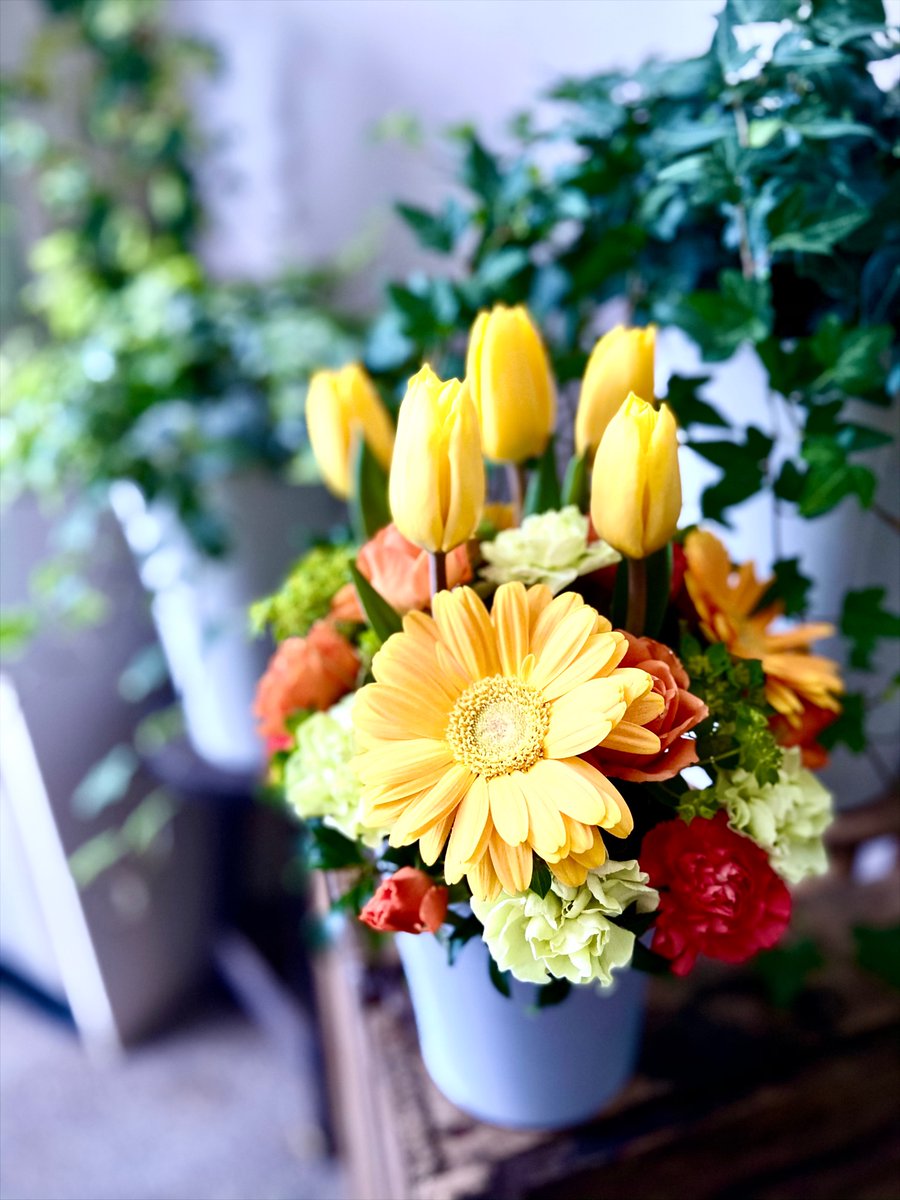 フラワーショップ花太郎 あけましておめでとうございます 今年もよろしくお願いいたします 久々のチューリップは新鮮です 春のお花いっぱいでみなさまのご来店お待ちしております 春 チューリップ 花キューピット 旭川 花屋 フラワー