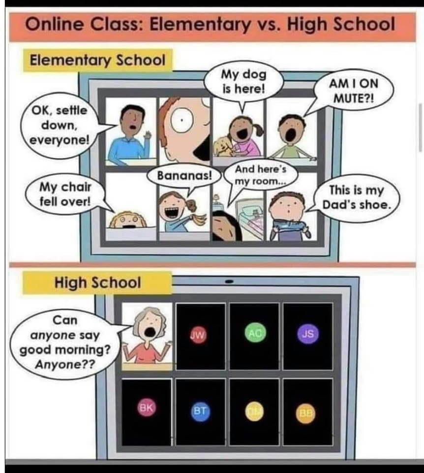 ONTSpecialNeeds's tweet image. Truth?