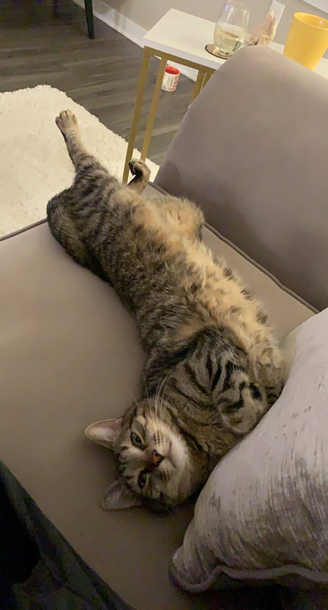 Marie Walicki tweet media