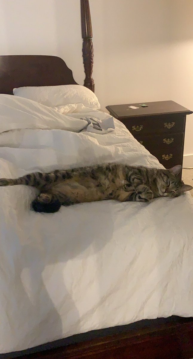 Marie Walicki tweet media