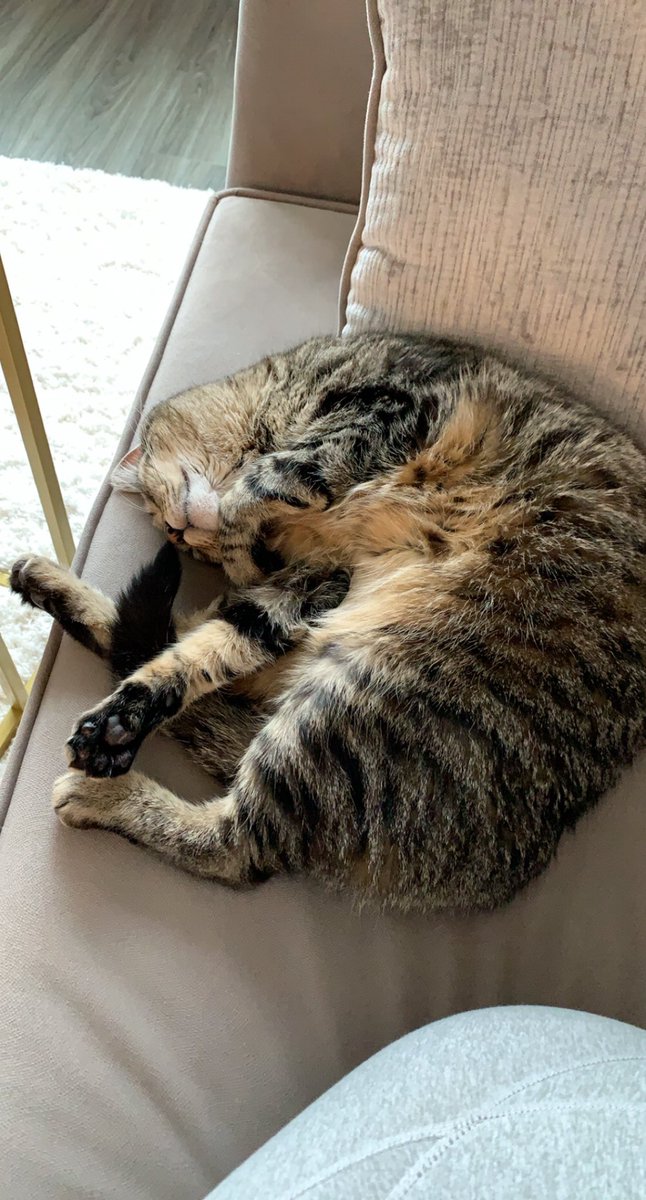 Marie Walicki tweet media