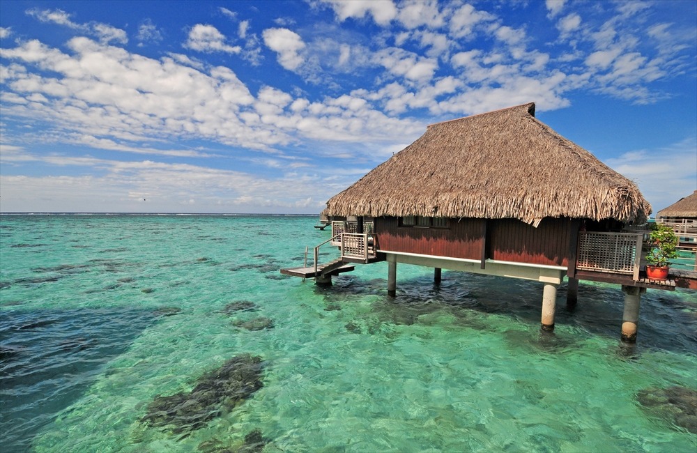 旅行会社 旅工房 公式 Al Twitter タヒチ モルディブの水上コテージ事情 せっかくなら 水上コテージ に宿泊してみたい モルディブ タヒチでは ほとんどのリゾートに水上コテージがあります ただ タヒチはホテル数が限られるため 水上コテージは常に