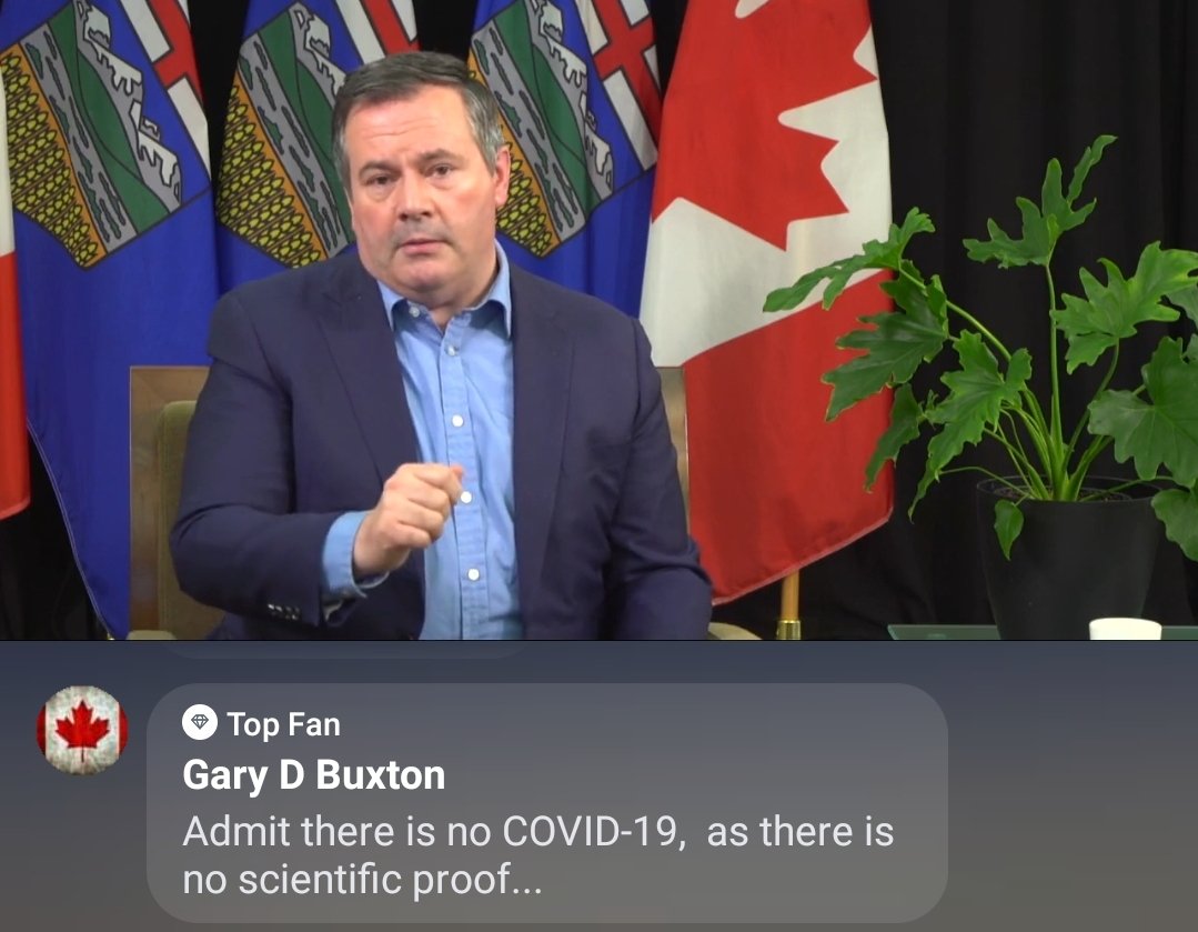 The top fan comments are good.