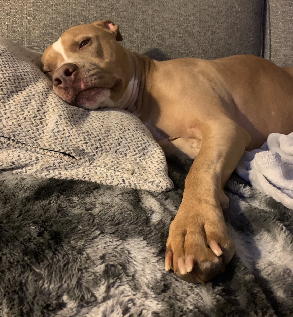 Aaron West tweet media