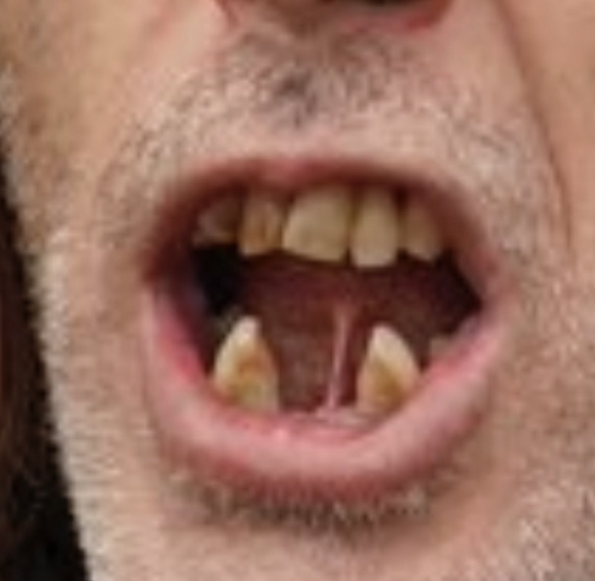 I swear to god, even if I was the most hardcore trump supporter, genuinely believed the election was stolen, and went to DC fully ready to protest and storm the capitol, truly thinking the election was rigged...the second I saw this guy was on my team, I’d give up an go home