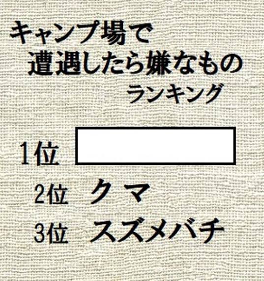 Gangbear ライフアフター