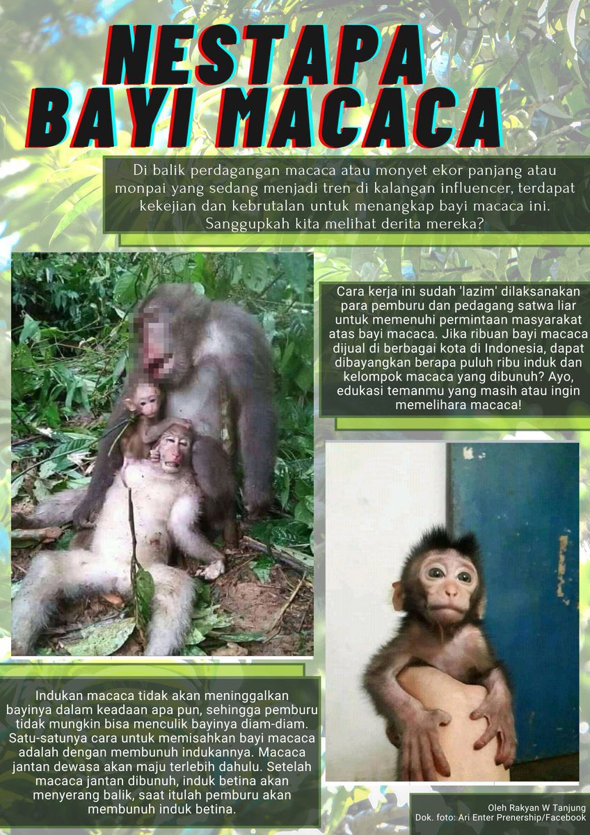 Memelihara anak monyet biar lucu, ternyata ada induk yang harus dibunuh dahulu.

Hal yang kita pikir lucu dan baik, bisa jadi menyimpan cara yang tidak baik. Melakukan apa yang terasa baik itu berbeda dengan melakukan apa yang baik.

Lakukanlah yang baik.