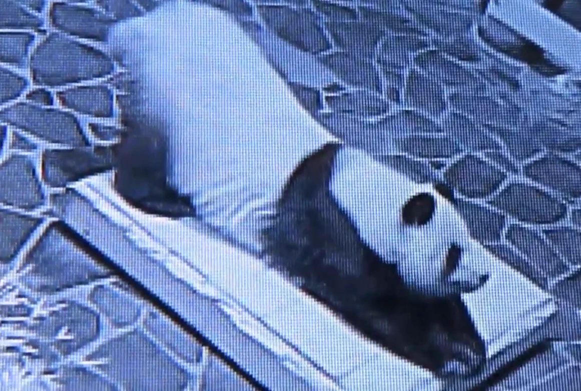 パンダもです～(*´∀`)♪💕
大熊猫、猫がついてるから🤭💕
#王子動物園 の #タンタンちゃん の Twitterの動画お借りしました🤗  