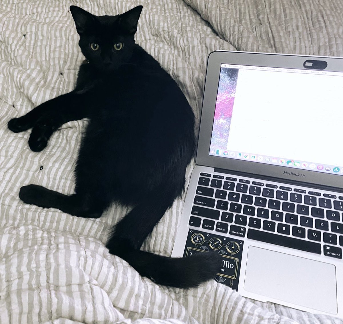MeganRoseLit's tweet photo. Who else is writing to try to get their mind off the events of today? #amwriting #writingcommunity #cathelper https://t.co/APlsIMiiwF
