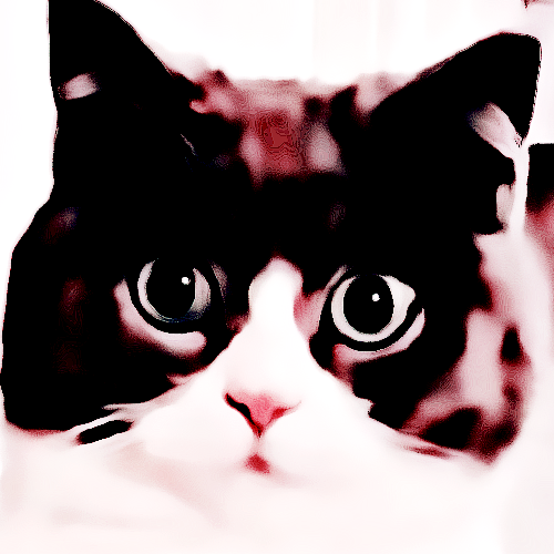 #dis4bot แมว ว๊ากๆๆๆแง่บหงิม