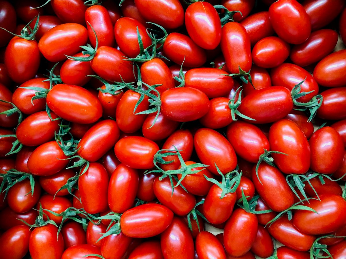 Root S Purely ルーツピュアリィ 熊本県を代表するトマト農家 宇城市澤村輝彦さんの有機栽培アイコトマトが入荷 もちろん完全無農薬 肥料は自家製発酵液肥など植物性有機肥料のみ使用 無農薬無化学肥料で栽培されたアイコトマトは 果肉は緻密で