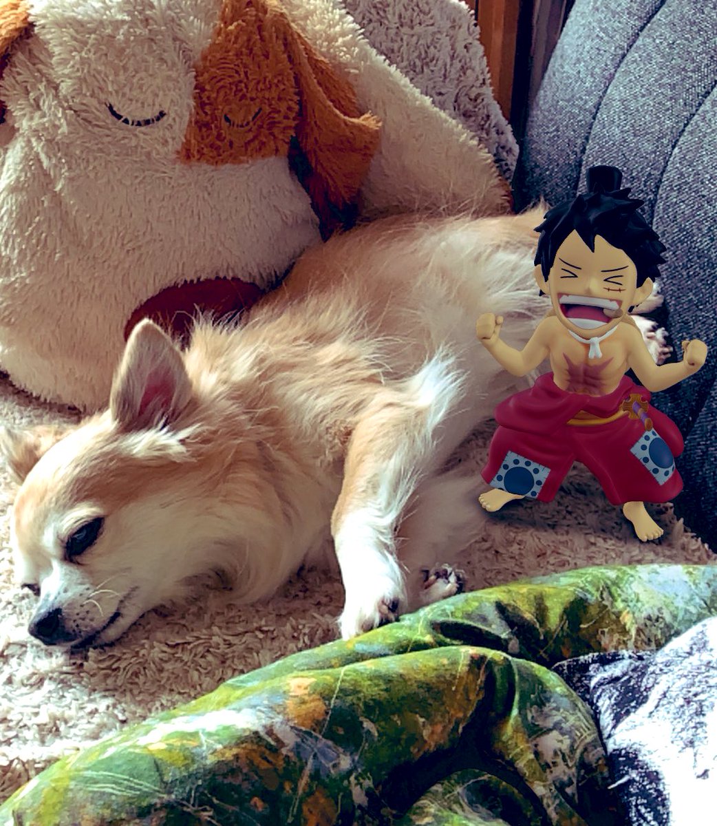 アトリエばるかろーれ على تويتر エース も 捨て難いが そこは やはり アラバスタ の 誇り高き勇者 ペル だな ワンピース キャラ世界人気投票 Ar で遊んだよ