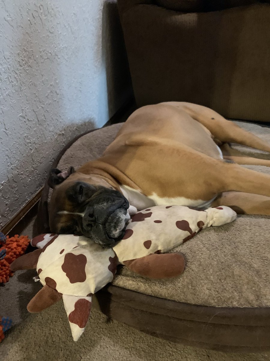 Mandy Laddish tweet media