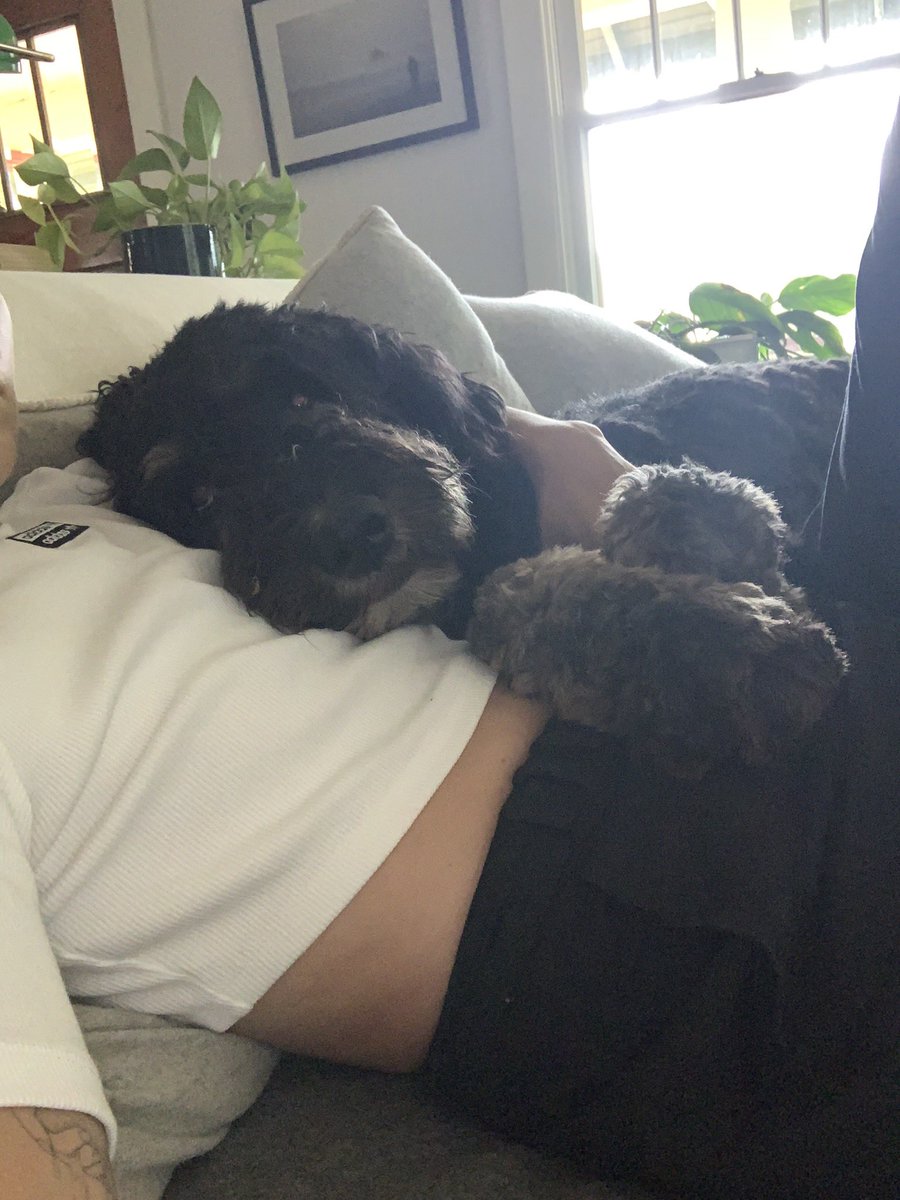 Mandy Laddish tweet media