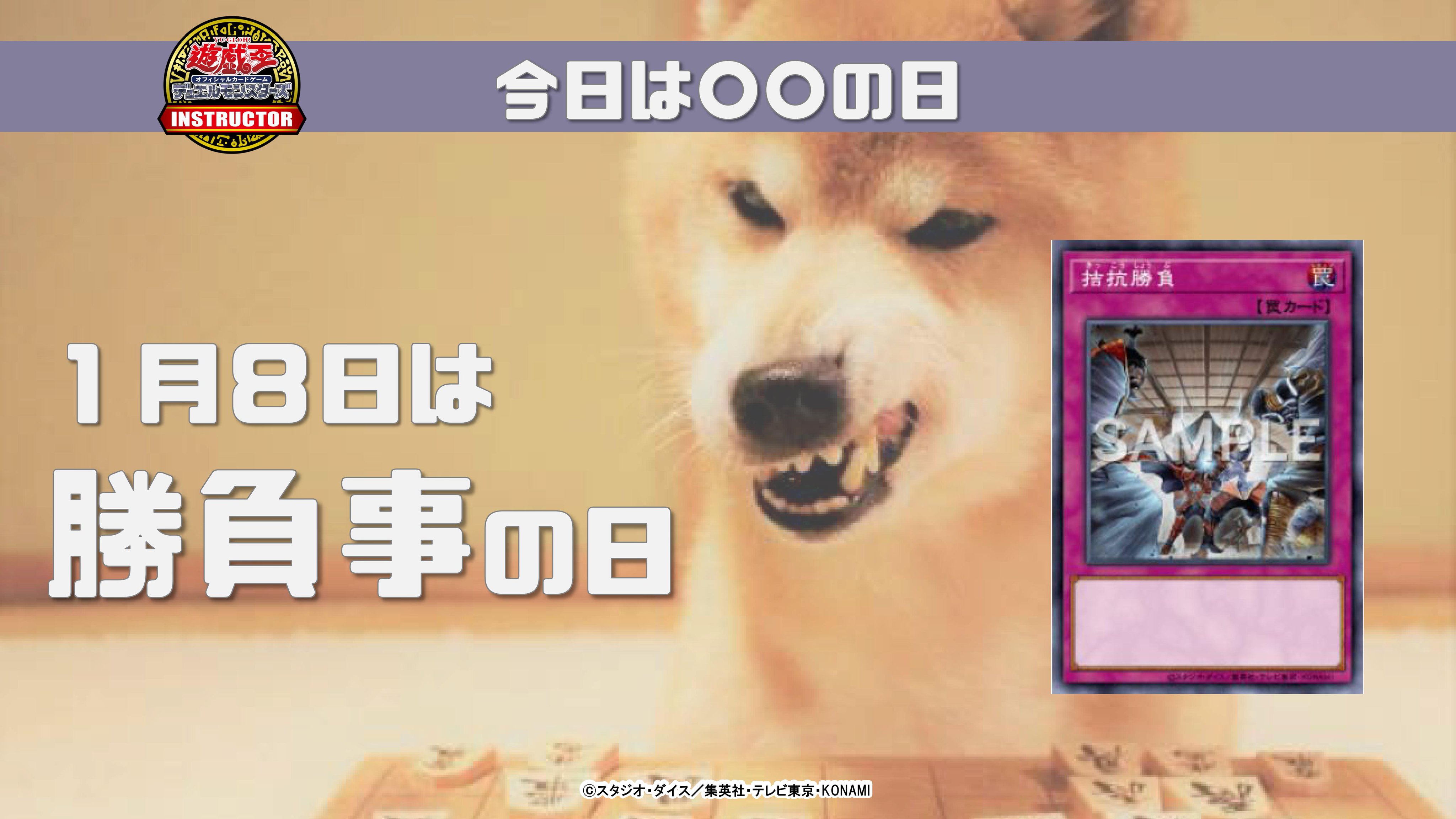 公式 遊戯王カードゲームインストラクター インストラクターデッキ 紹介 今日1月8日は 勝負事の日 それにちなんだ遊戯王ocgデッキを本日5 つご紹介 5 エクシーズ熱戦 採用 ギミック パペット デッキ デッキレシピの詳細はこちら