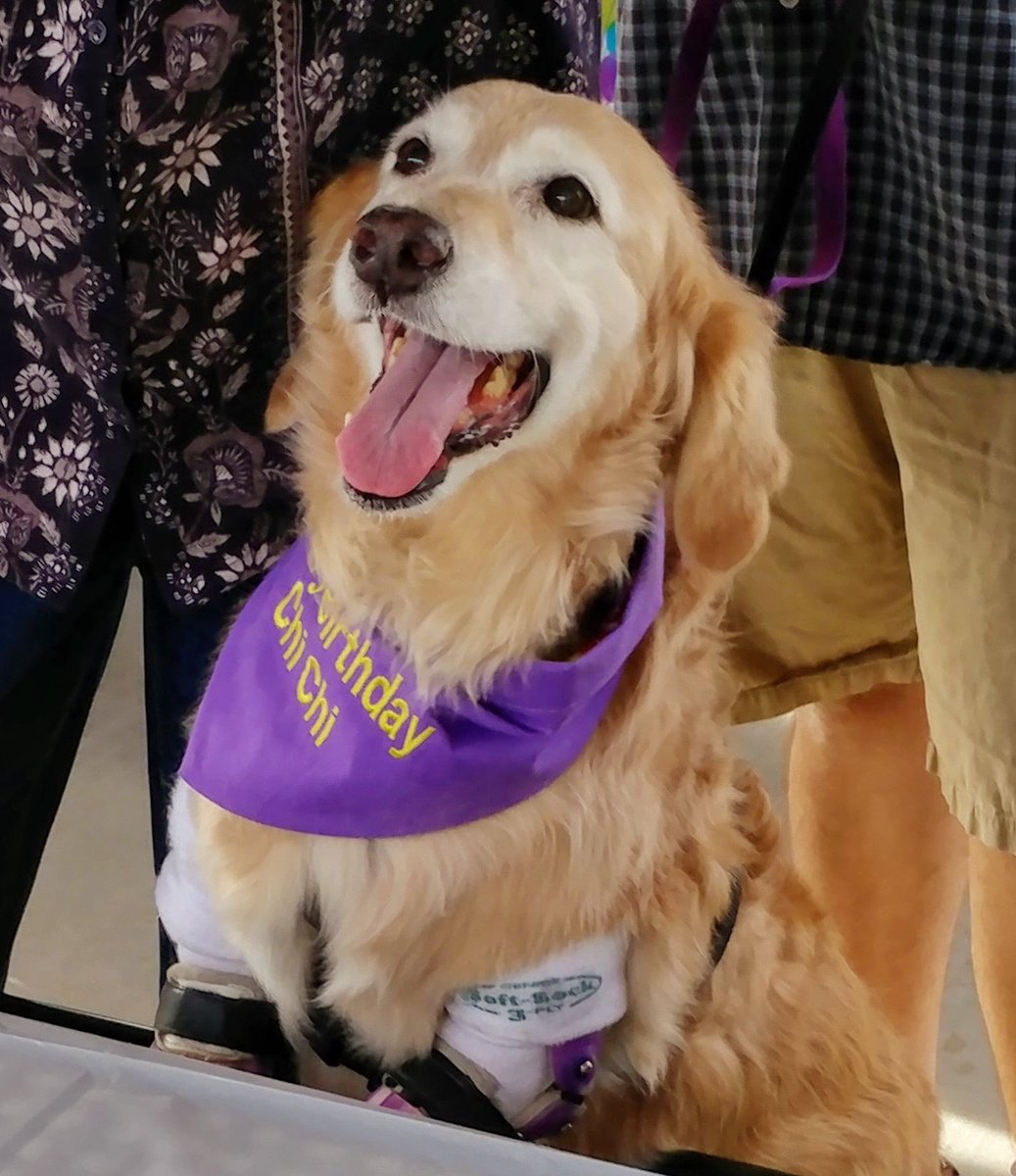 Chi Chi chose love, kindness, joy, optimism and happiness every day. 

“Attitude is a choice. Happiness is a choice. Optimism is a choice. Kindness is a choice. Giving is a choice. Respect is a choice. Whatever choice you make makes you. Choose wisely.”
- Roy T. Bennett

📷 2018