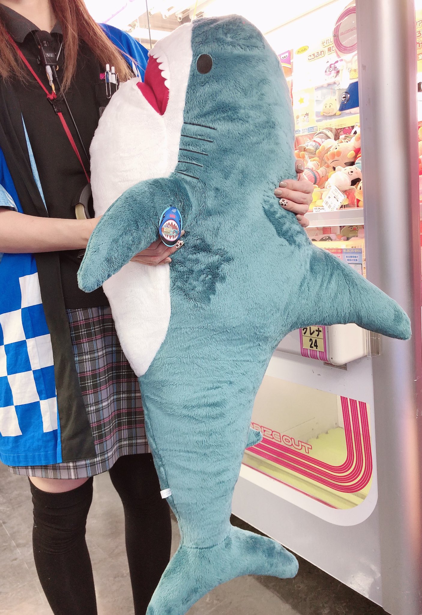 Twitter 上的 ドラマ八王子高倉店 新景品 入荷 Ufoキャッチャーコーナーに大きなサメのぬいぐるみが登場 サメの口は腕がすっぽり入っちゃいます クレーンゲーム ゲーセン 八王子 ぬいぐるみ T Co K8y4amxnd8 Twitter