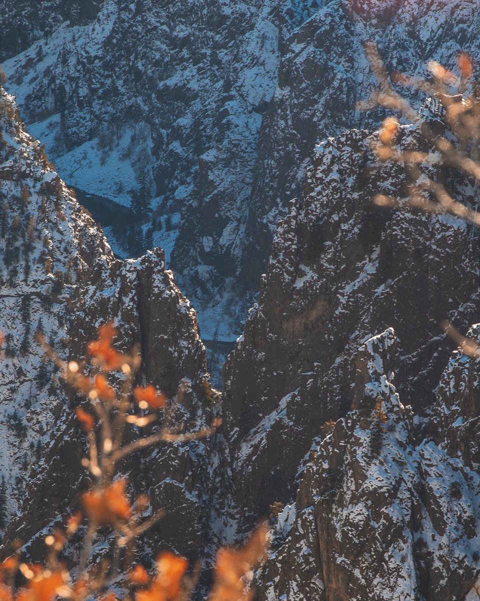 micheal_phan's tweet photo. Winter Vibes https://t.co/oIDoA6qCGh
